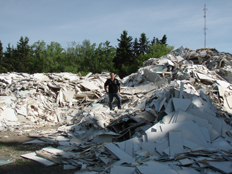 Jeff Compost Pile